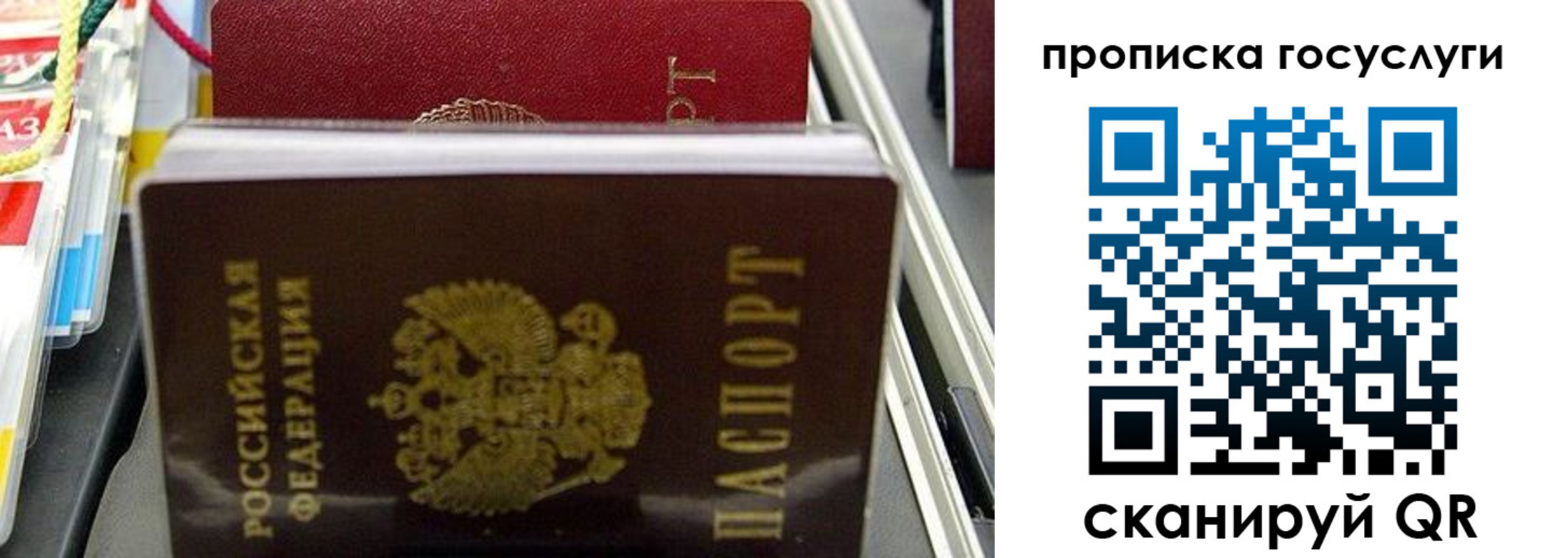 где прописаться в Полярных Зорях